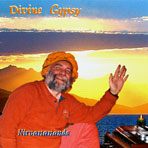 Divine Gypsy Cover